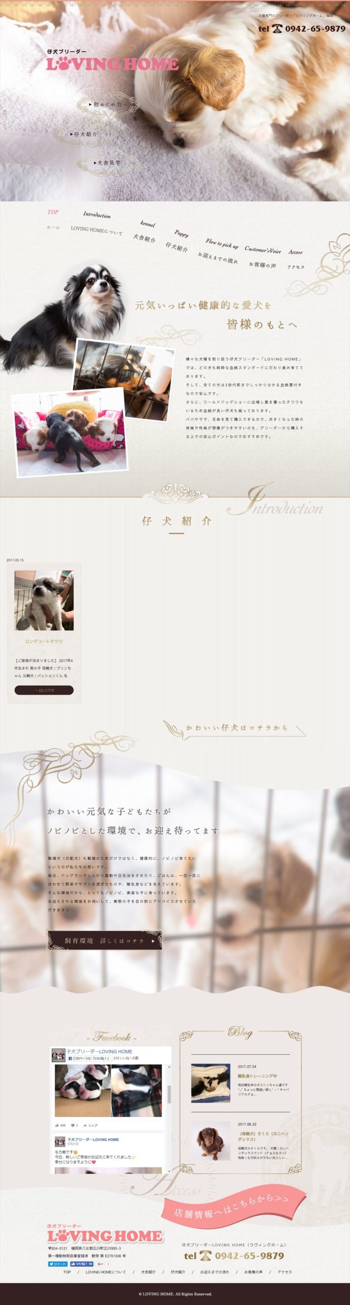 仔犬ブリーダー LOVING HOME（ラヴィングホーム）