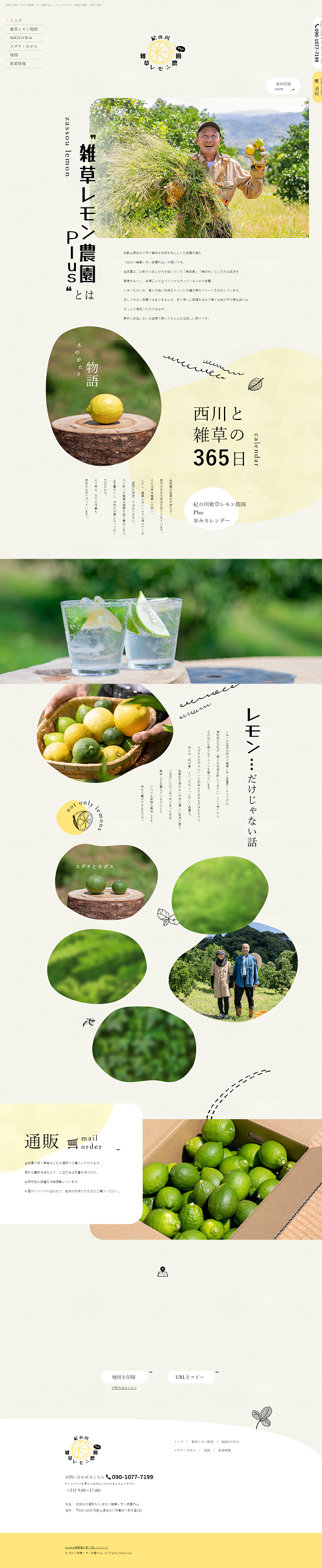 紀の川雑草レモン農園Plus
